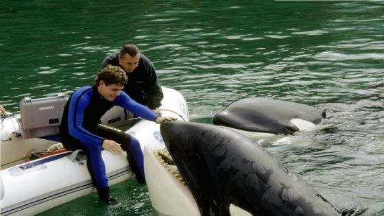 Sauvez Willy 3 – Rakuten TV